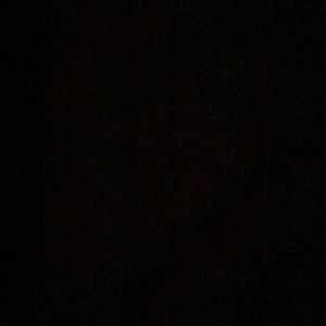 Meet your Posher, Evan